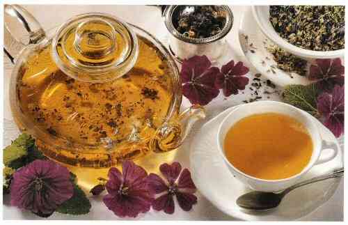 Herbal Tea Malva Plant