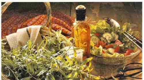 Aromatic Herb Tarragon